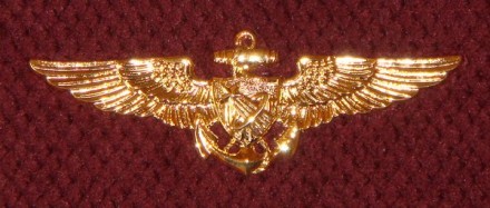 wings