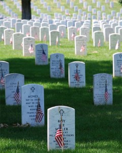 Or as we like to call it, "the family plot"